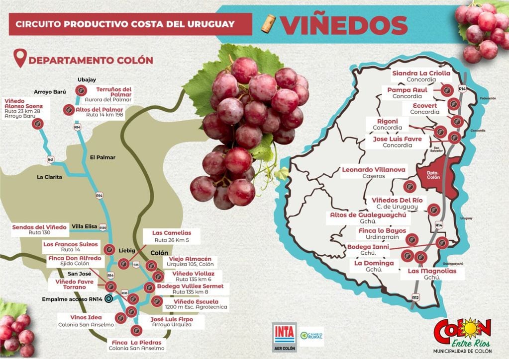 Colón presentó el Programa Vitícola en la capital provincial