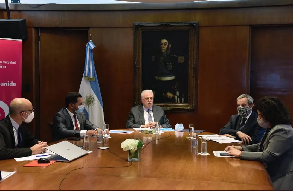 El ministro Ginés González García en comunicación vía zoom con Diputados. (Foto: Ministerio de Salud)