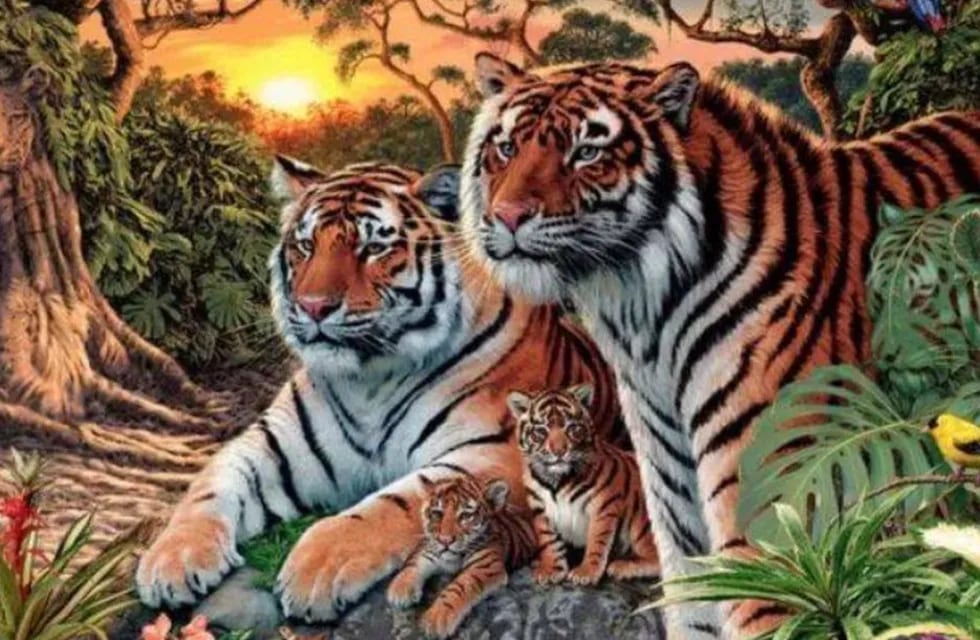 Acertijo visual: ¿cuántos tigres se esconden en la imagen? .