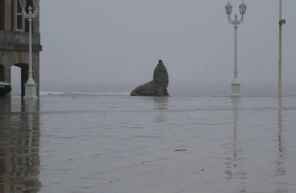 Para seguir durmiendo: Mar del Plata amaneció con intensas lluvias