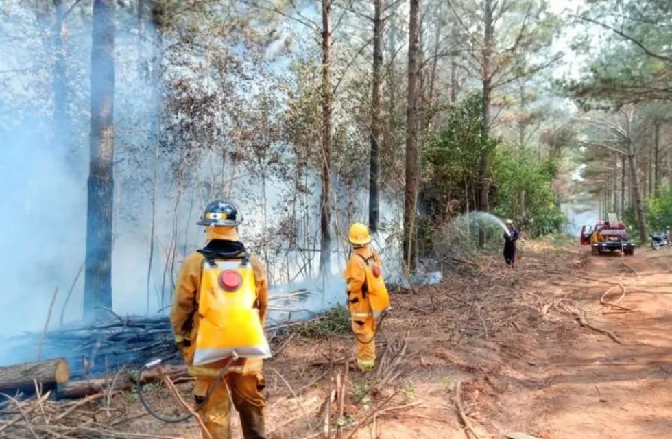 Bomberos de Wanda trabajaron tres horas para sofocar un incendio en un pinar