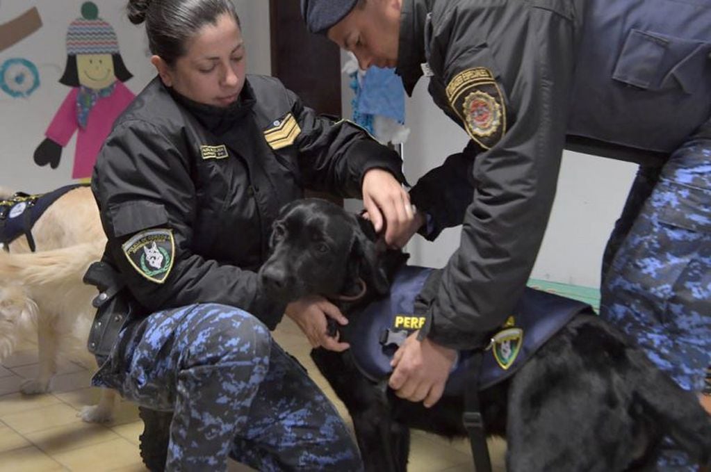 Lola y Zoe, las perritas de la División Canes de la Policía que ayudan en su terapia a chicos con discapacidad. (Prensa Gobierno)