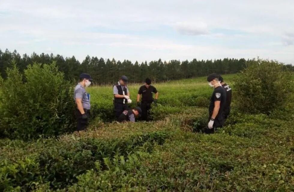 El cuerpo fue encontrado en una plantación de té de Campo Viera, en el Lote 116, sección sexta (ruta provincial 210).