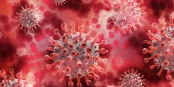 Variantes del coronavirus
