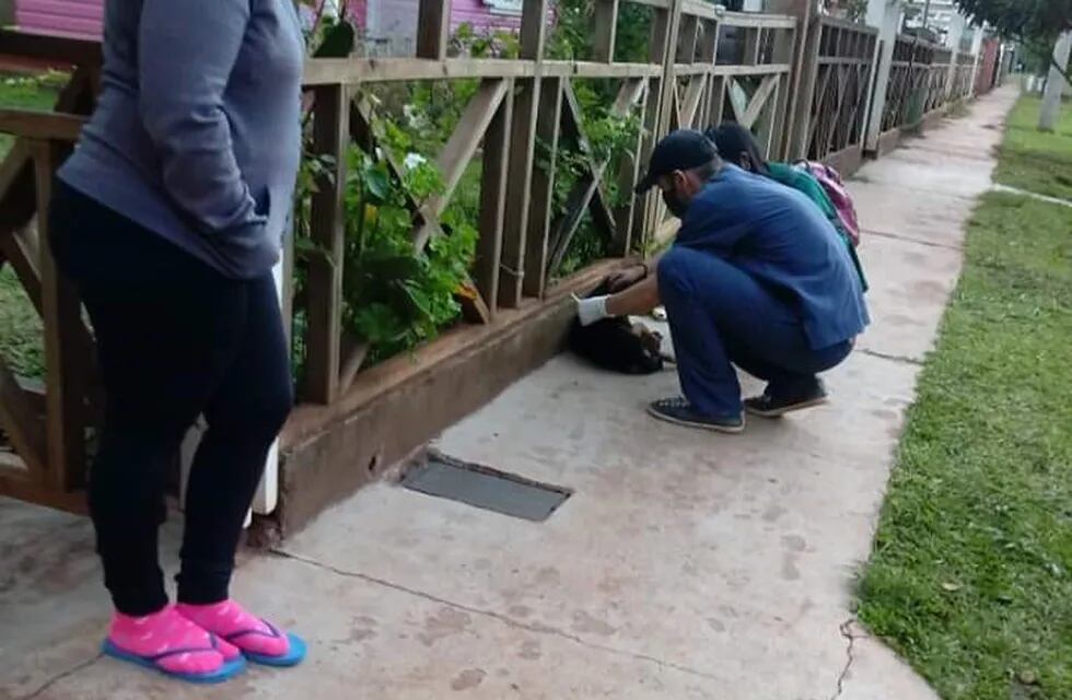 La campaña continuará por otros barrios de Eldorado.