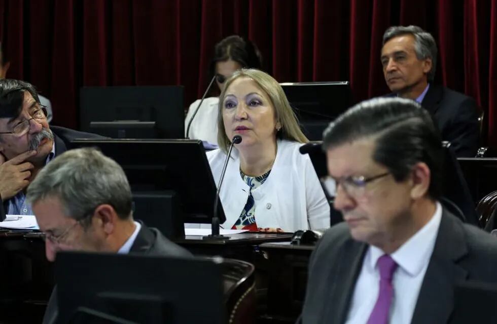 Senadora por Jujuy Silvia Giacoppo