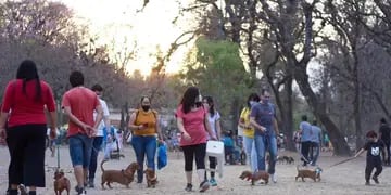 Encuentro de perros "salchicha" en Jujuy