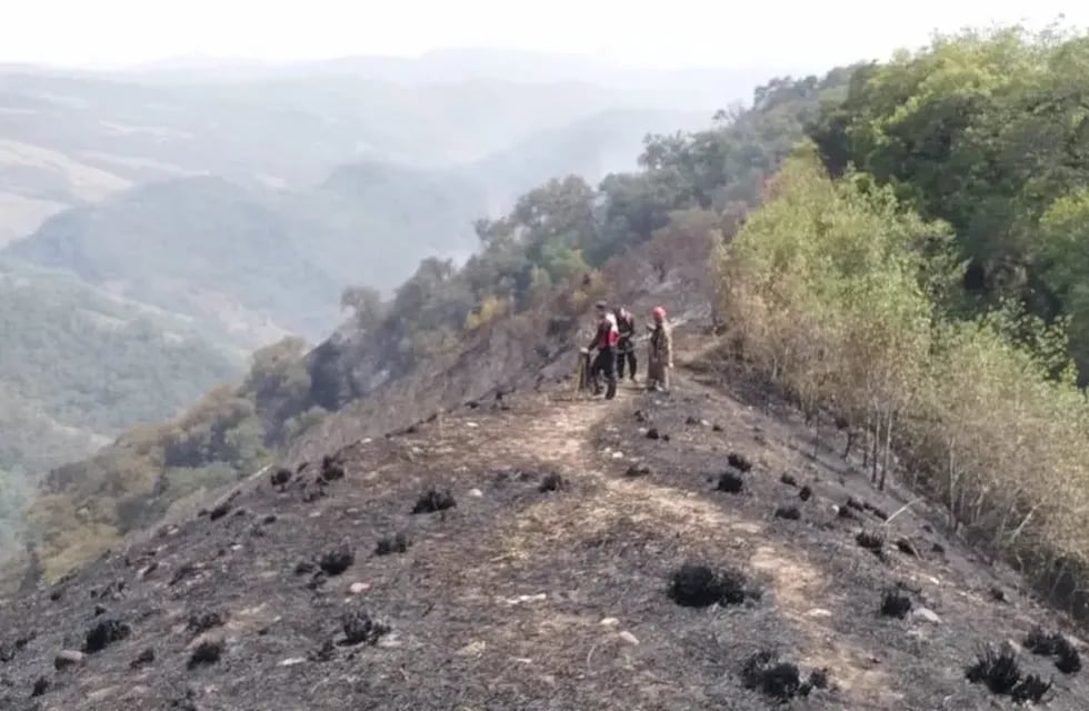 En los últimos días los incendios forestales en la zona de las yungas, en Jujuy, han consumido casi un millar de hectáreas.