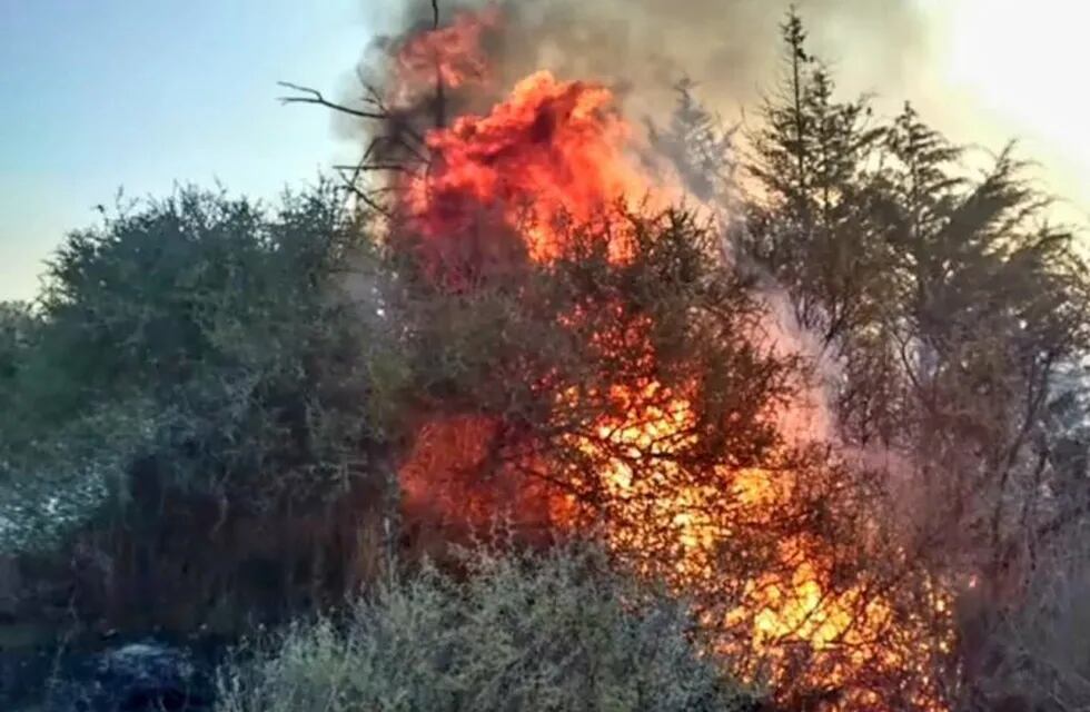 Incendio forestal en Copina (31/07/2020). (Foto: imagen ilustrativa).