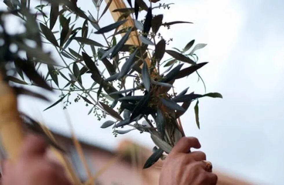 Misa de ramos en Arroyito