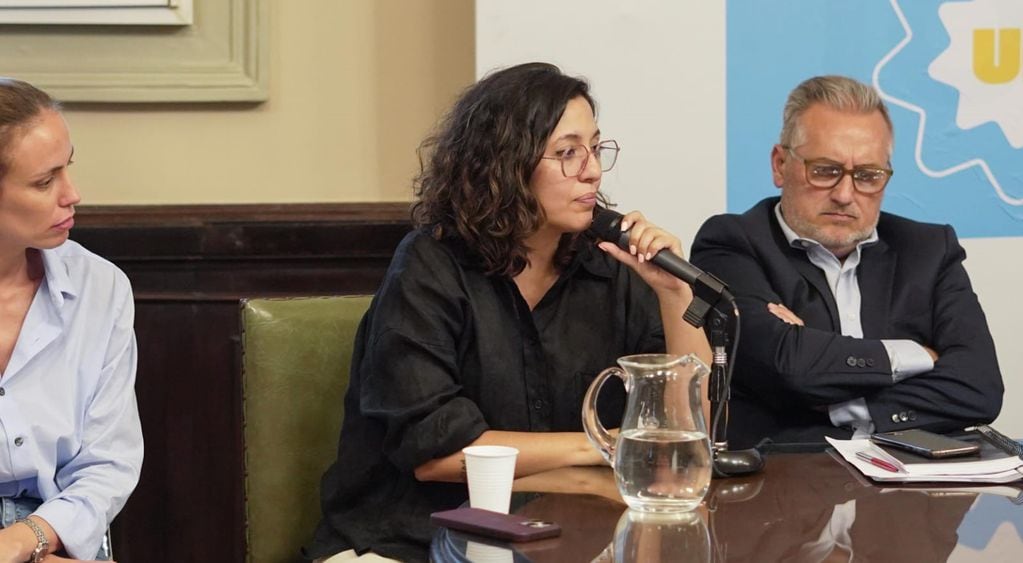 La diputada nacional por Jujuy Leila Chaher, durante su intervención en la reunión del bloque de Unión por la Patria (UxP) con referentes de la cultura.
