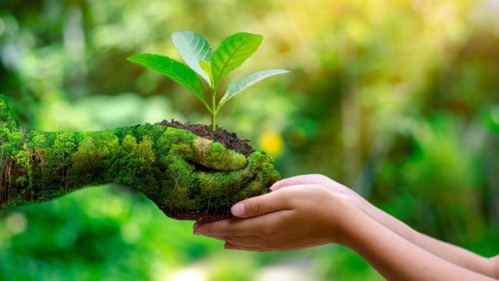 Desarrollo sostenible y cuidado del medio ambiente