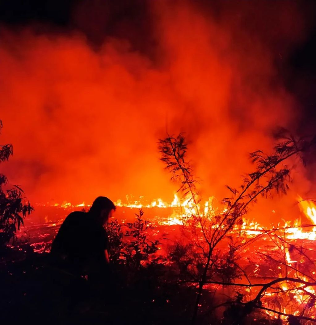 Sofocan incendio en una zona de pinar y malezas en Mártires.