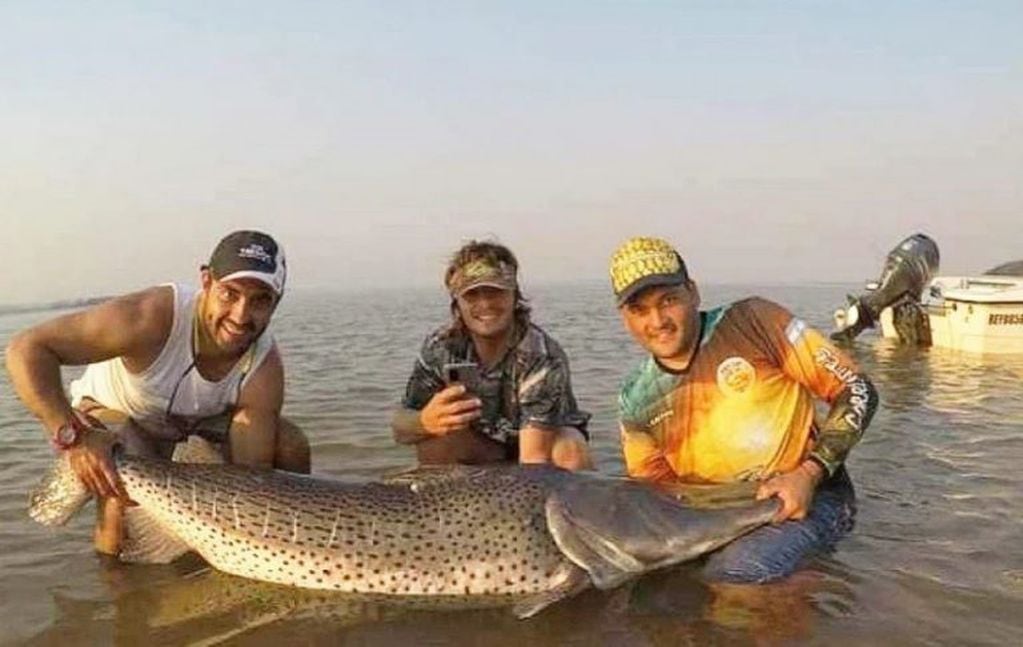 Pescaron un surubí de 70 kilos en Paso de la Patria.