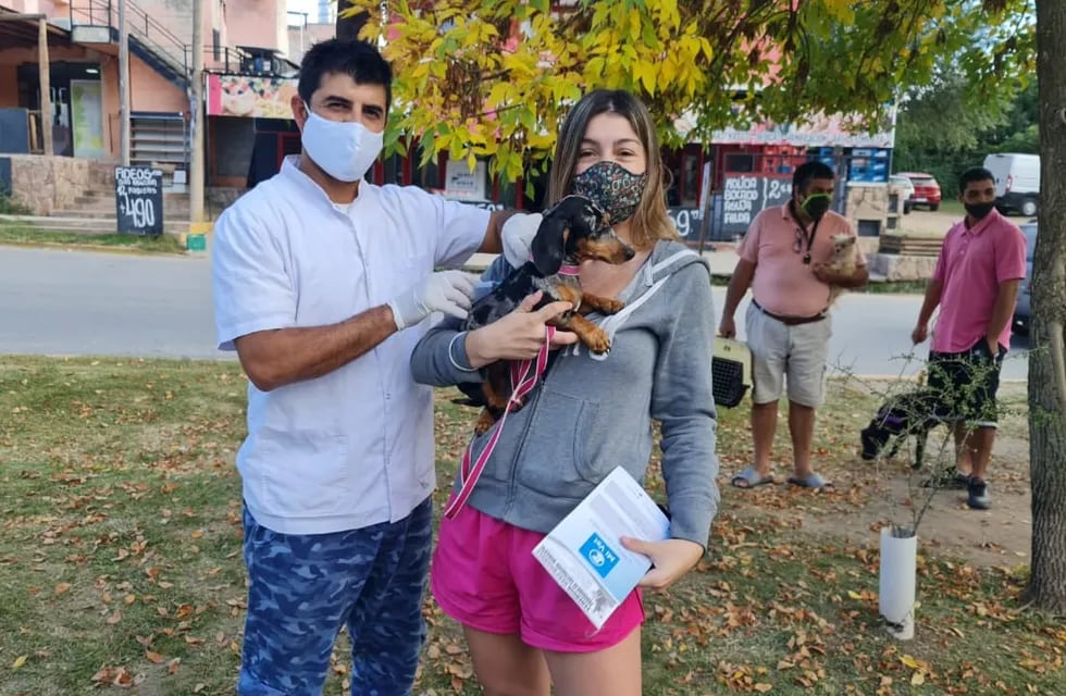Campaña de Vacunación Antirrábica en San Antonio de Arredondo.