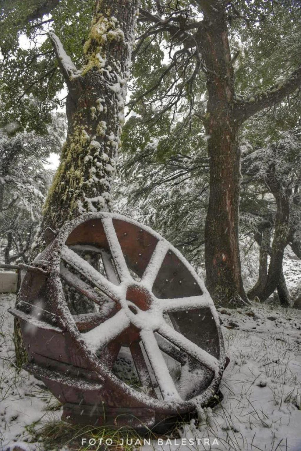 Esquel recibió la primera nevada del año en pleno enero. Foto: Juan Balestra.