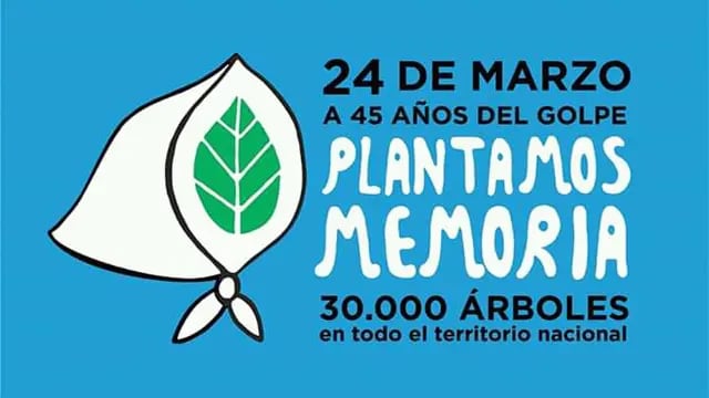 Plantar Memoria