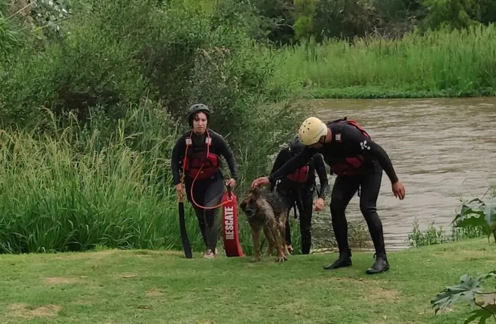 Bomberos de Arroyito salvaron un perro atrapado en la costa del Río Xanaes