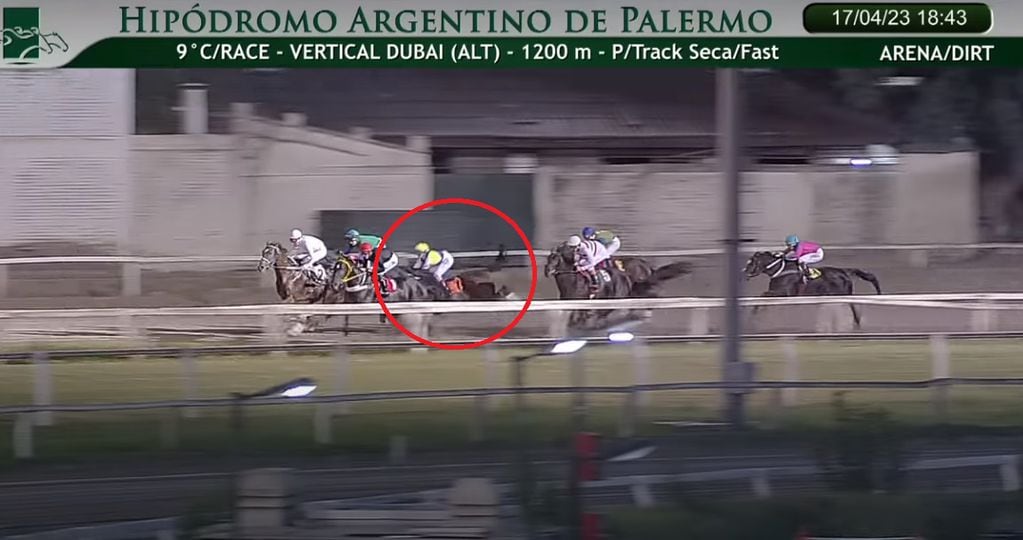 Momento en que yegua Casta y Pura, se desestabiliza y Florencia Giménez comienza a caer desde su montura en plena carrera en el Hipódromo de Palermo.