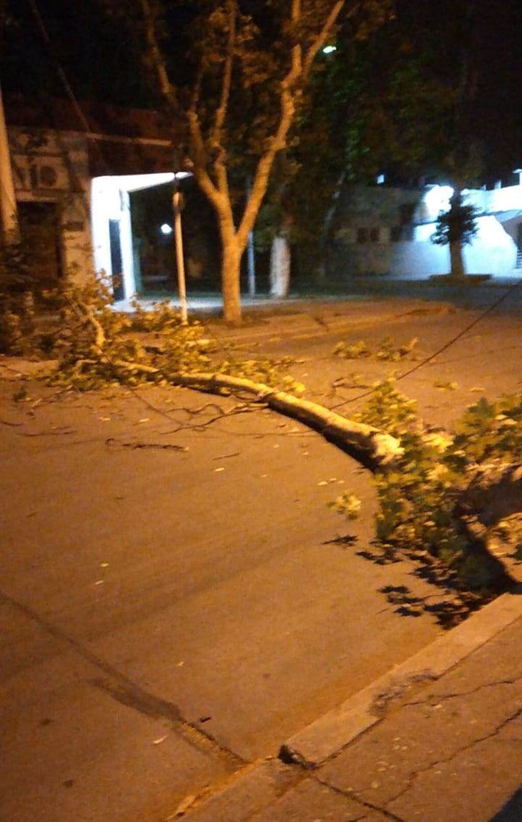 El viento afectó a ciudad y distritos de San Rafael. Gentileza 