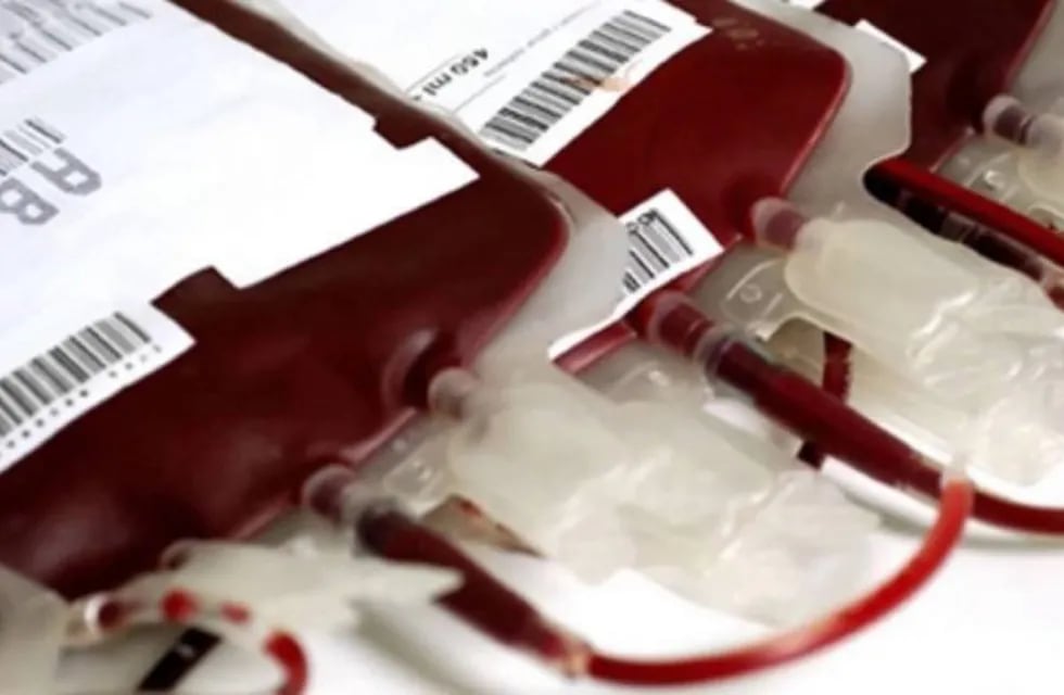 Se promoverá una campaña de donación voluntaria de sangre en el Pediátrico. (Web).