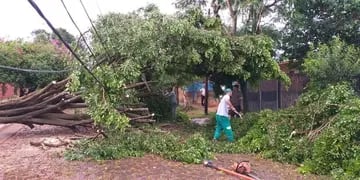 Organizan una “Cruzada Solidaria” para ayudar a familias afectadas por el temporal en Eldorado