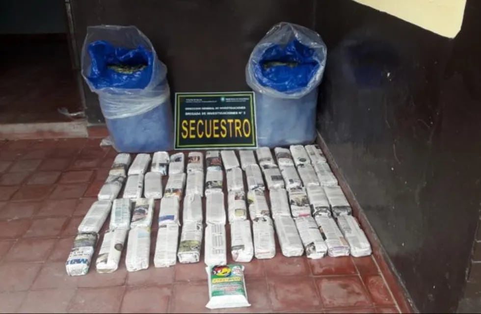 Incautaron hojas de coca por un valor de 90 mil pesos en Salta. (Policía de Salta)