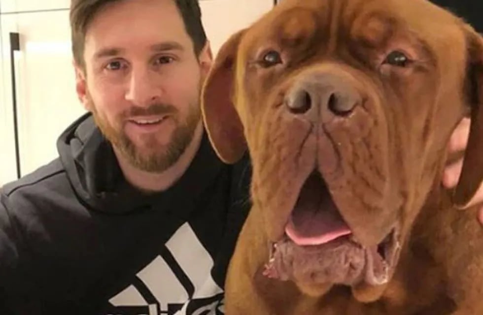 Lionel Messi y su perro despertaron ingeniosas cargadas por una particular foto.