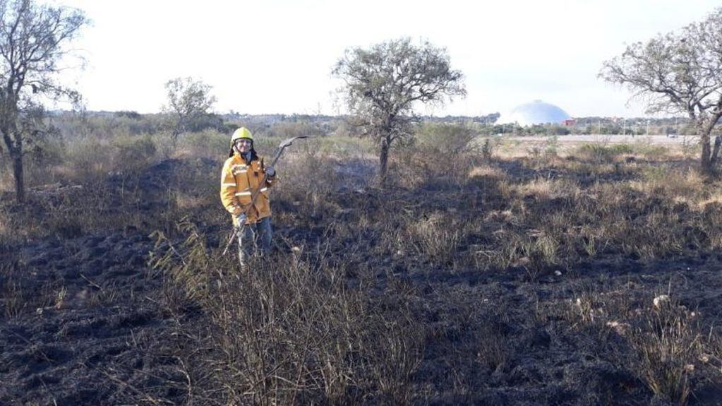 Incendio forestal en cercanías al Parque de La Ciudad,  por Ruta Nacional 75.