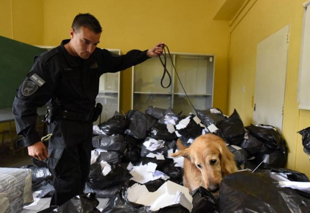 Perros de la división Explosivos y Narcocriminalidad participaron del operativo. (TyC Sports)