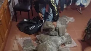 Los 240 kilos de marihuana, hallados en la vivienda de barrio Mirizzi, estaban distribuidos en 186 paquetes. (Policía de Córdoba)