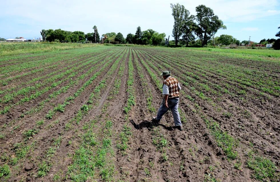 La agroecología gana terreno en San Rafael. Archivo. José Gabriel Hernández.