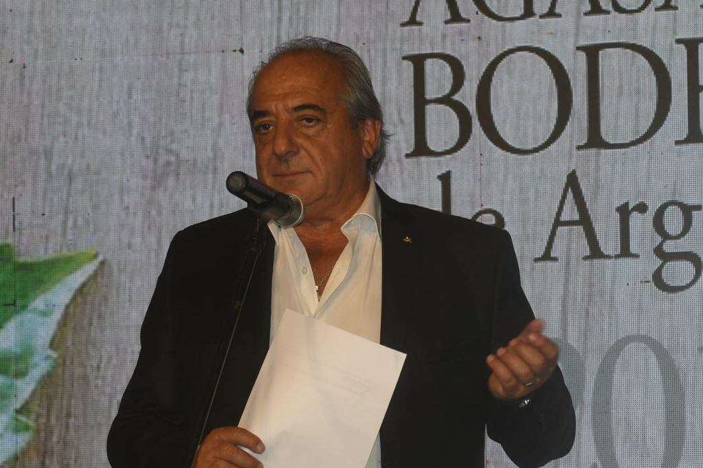 El presidente de Bodegas de Argentina, Walter Bressia José Gutierrez / Los Andes