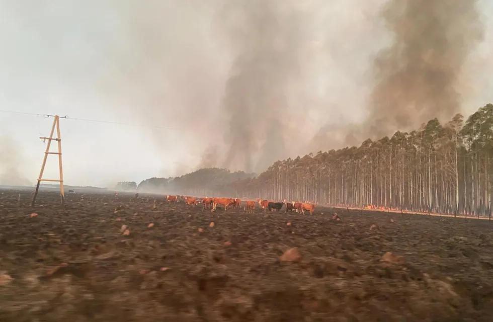 Bomberos Voluntarios de San Luis acudirán a sofocar los incendios en Corrientes.