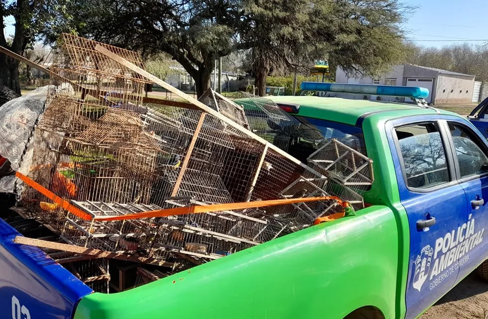 Policía ambiental secuestró jaulas y recuperó a las aves. (Gobierno de Córdoba).