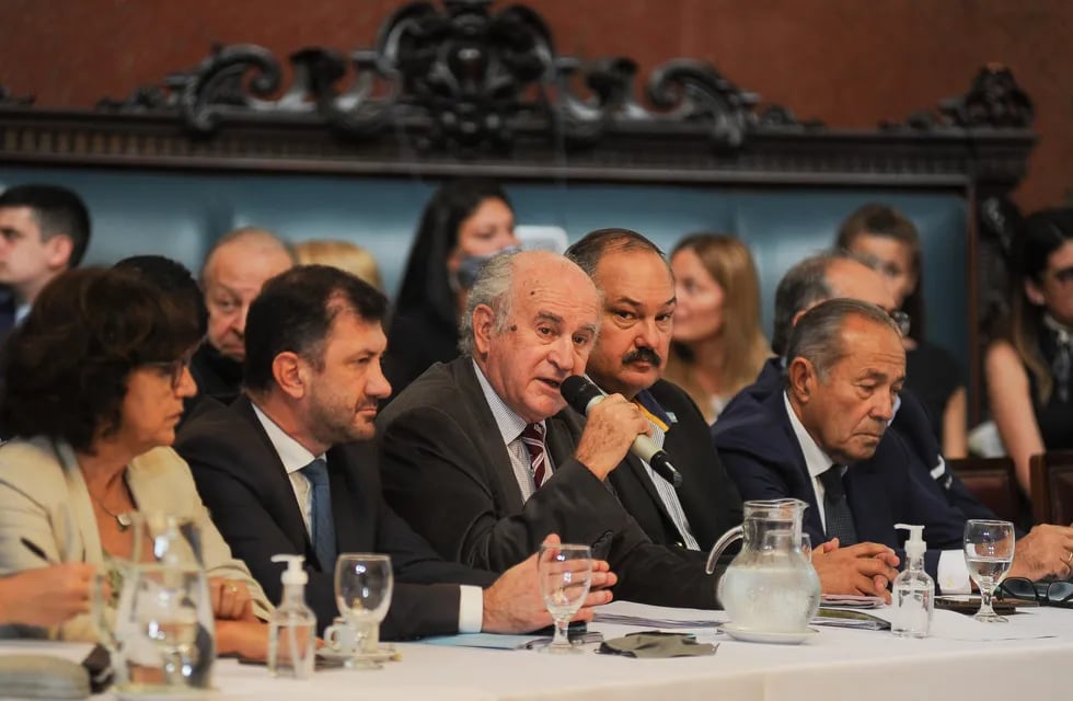 El senador Oscar Parrilli defendió el proyecto de ley en el plenario de comisiones (Foto: Federico López Claro)
