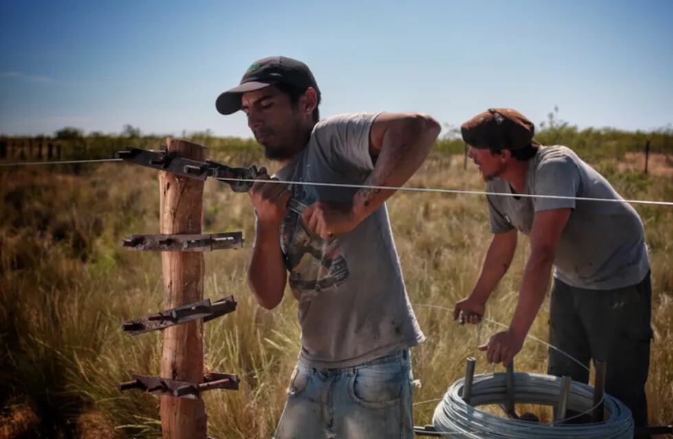 Trabajadores rurales