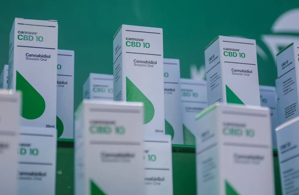 La empresa estatal jujeña Cannava presentó los primeros lotes de cannabis medicinal producidos en la Argentina.
