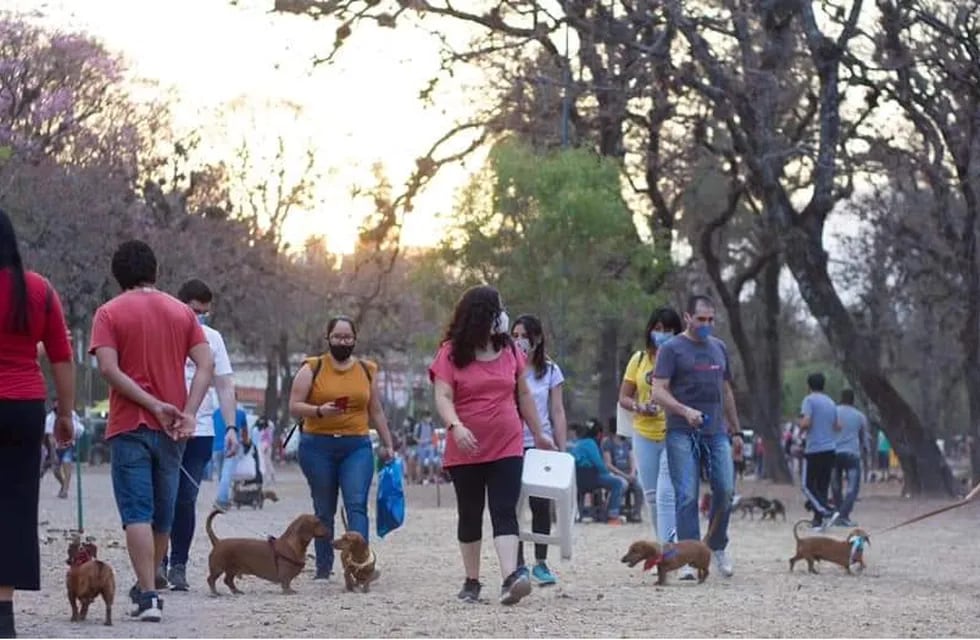 Promoviendo la tenencia responsable de mascotas en San Salvador de Jujuy, se realiza un encuentro de perros "salchciha" en el parque San Martín.