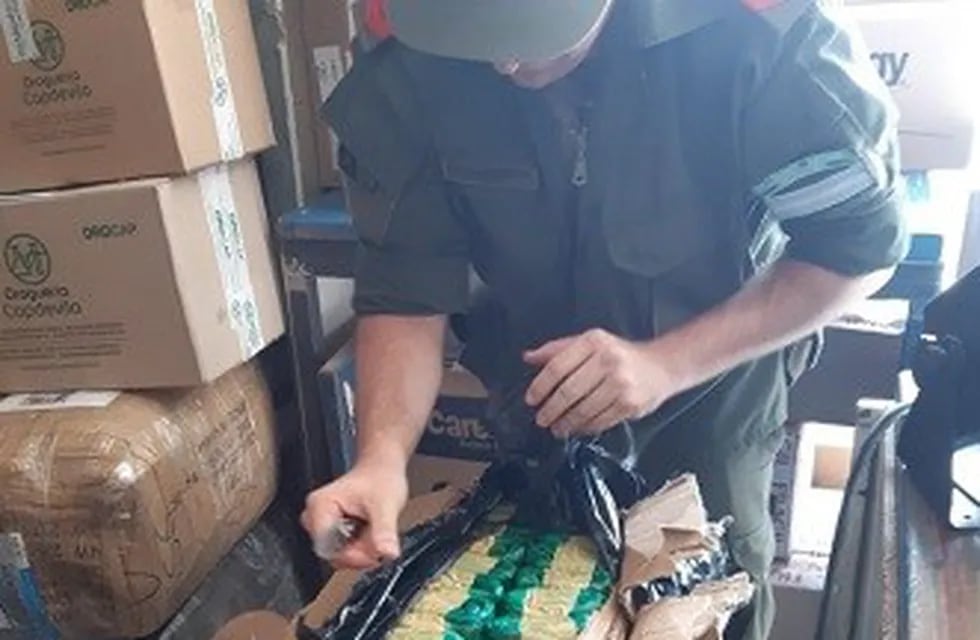 Incautaron 20 kilos de hojas de coca dentro de dos encomiendas que llegaron desde Salta.