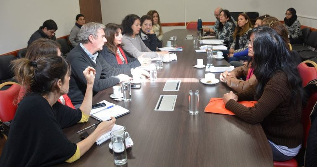 Una serie de temas vinculados a los niños con diagnóstico de Trastorno del Espectro Autista (TEA) fue motivo de intercambio y compromisos asumidos en reunión cumplida en el salón "Raúl Alfonsín" de la Legislatura de Jujuy.