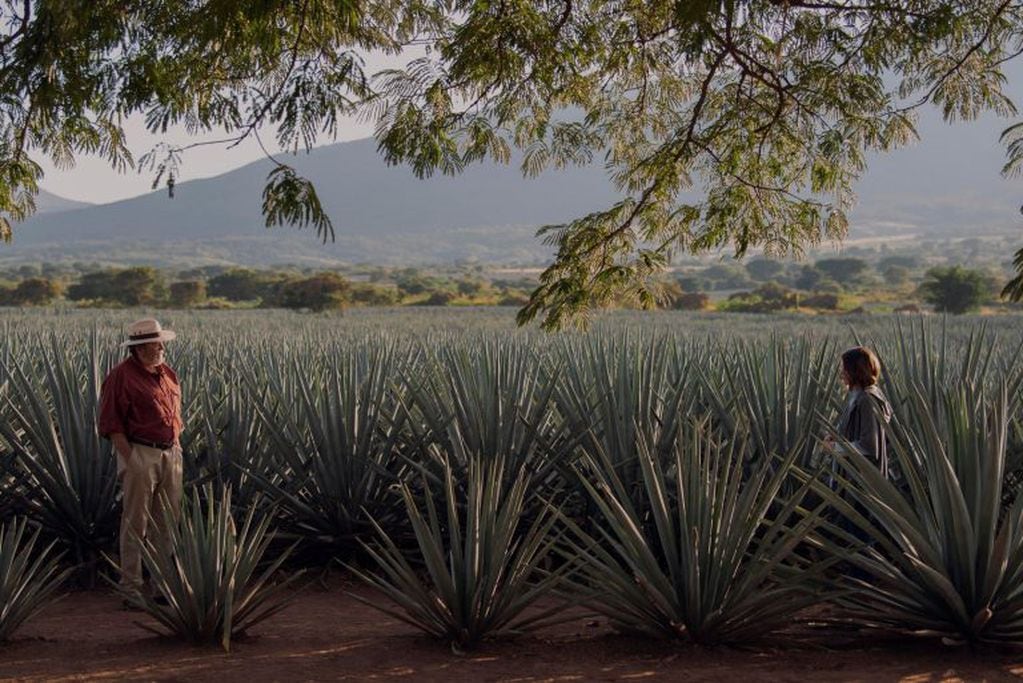 Monarca se filmó en Tequila, Jalisco (Foto: Gentileza Netflix)