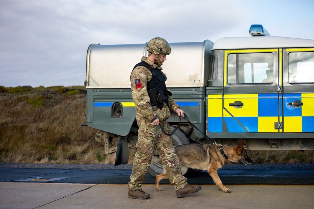 Perros policía de la Unidad de Apoyo Policial del Servicio Conjunto, prestaron servicio en operaciones terrestres.