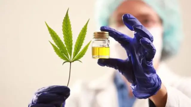 Avanza proyecto de ley para uso de cannabis medicinal