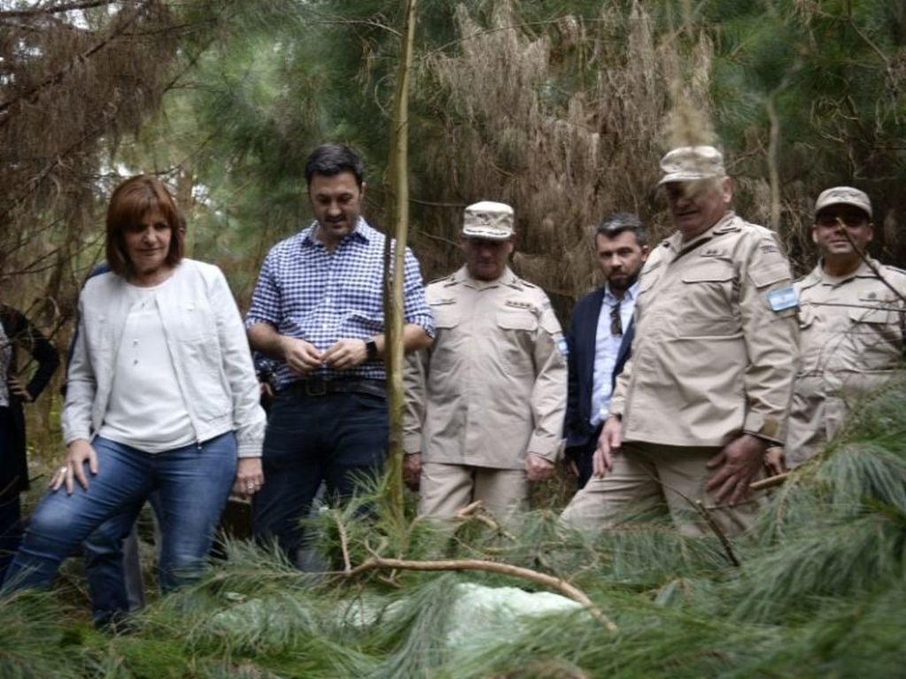 Misiones La ministra Bullrich recorre el pinar donde personal de Prefectura encontró casi cinco toneladas de droga. Vino de Paraguay y estaba siendo "enfriada" para pasar al siguiente eslabón de la cadena narco. (MisionesOnline)