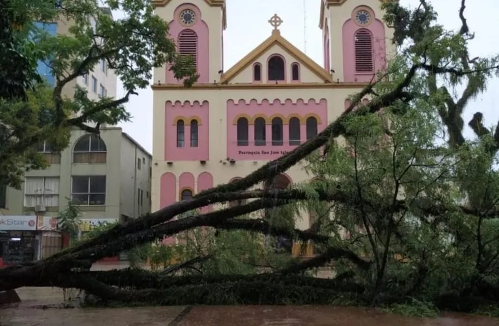 Posadas sufrió una fuerte tormenta que abatió árboles y postes de luz este martes 18 de febrero. (El Territorio)