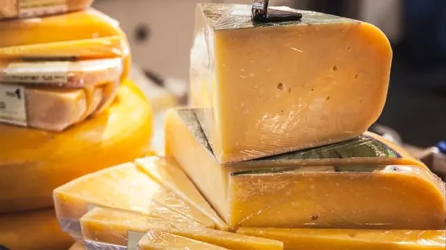 Duda resuelta: ¿qué tipos de queso se pueden freezar y cuáles no?