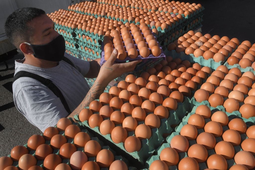 07 Mayo 2020 Mendoza - Sociedad

Huevos a granel para venta en el mercado

Foto Orlando Pelichotti.
