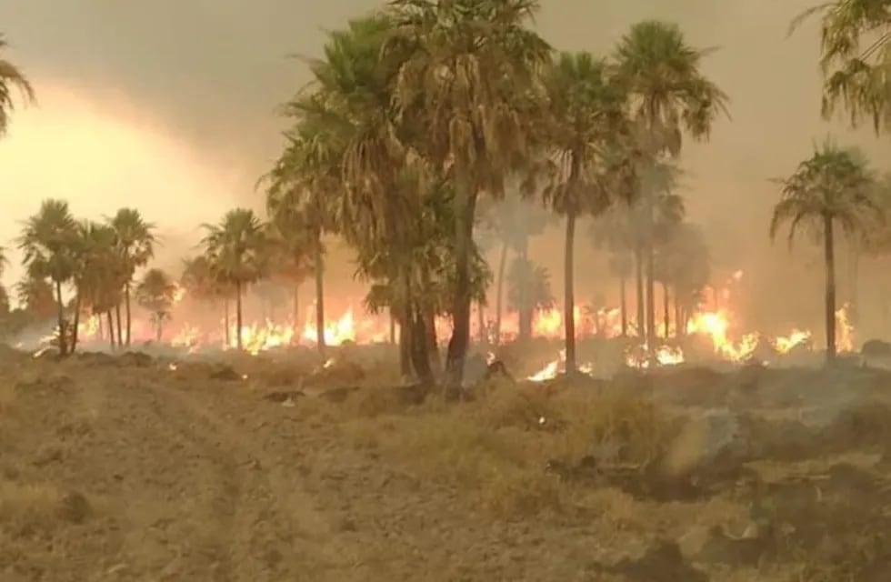 Denuncian incendios intencionales en el Parque Nacional Río Pilcomayo en Formosa.