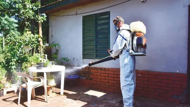 Presencia de dos serotipos de dengue y 17 casos confirmados